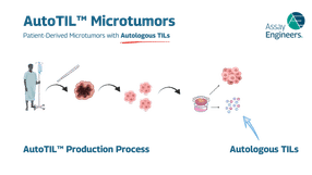 Production des AutoTILs – microtumeurs dérivées de patie ...