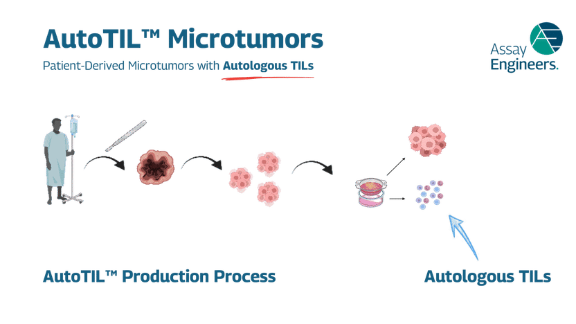 Production des AutoTILs – microtumeurs dérivées de patie ...