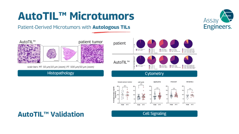 Validation des AutoTILs – confirmation de microtumeurs ...