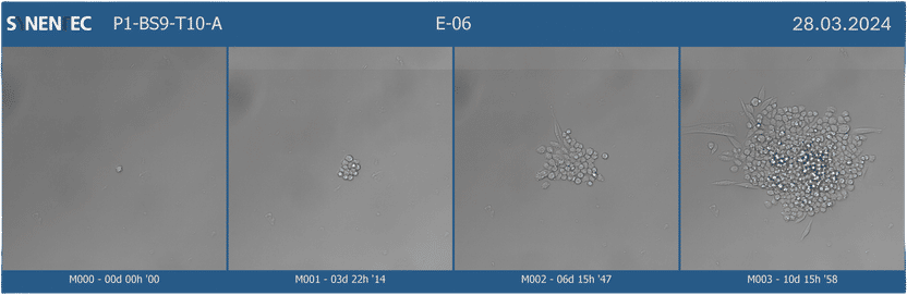 YT-SOFTWARE - Clone gallery for backtracking