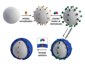 Dinc_Mizaikoff_Abb_02_EN_qm_Q220