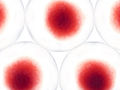 Hildebrand_Stock_Header_qm_Q419_500x375