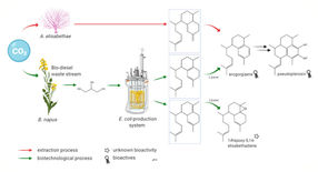 Brueck_qm_Q420_Abb_4_EN