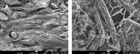 Muranyi_Abb_1_qm_Q3_4_2021