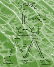 Hanschen_Abb_01_qmore_Q122_DE