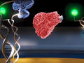 Dynamic nanolevers