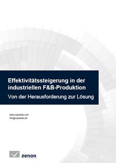 Effektivitätssteigerung in der industriellen F&B-Produktion