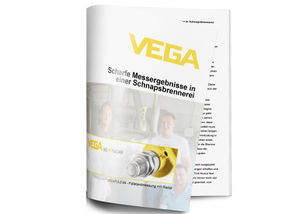 Ihre White-Paper-Anforderung bei VEGA Grieshaber KG