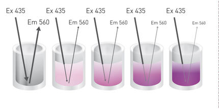 Wie misst man kolorimetrische Assays in 10 Mikrolitern?