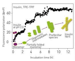 Novel aggregation-specific fluorogen monitors prefibrillar protein aggregation by fluorescence polarisation (FP)