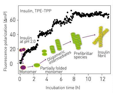 Novel aggregation-specific fluorogen monitors prefibrillar protein aggregation by fluorescence polarisation (FP)