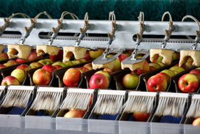 Fast And Accurate Quality Evaluation of Fruits Thanks to Smart Spectroscopy