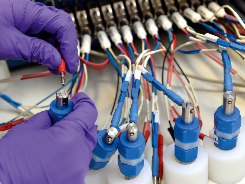 Die Keimzelle der Biobatterie - Leistungsfähige Batterien und Kondensatoren aus nachhaltigen Materialien für die Energieversorgung der Zukunft