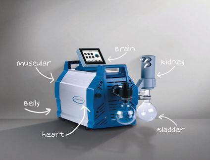 Roadmap for vacuum in the laboratory