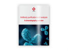 Antikörper effizient aufreinigen und analysieren