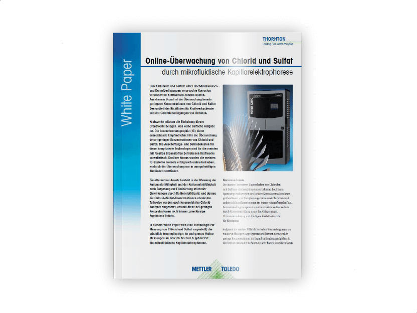 A New Method for Corrosion Prevention - Online Chloride and Sulfate Monitoring