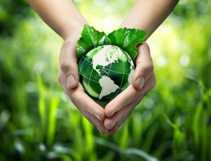 Nachhaltigkeit & Umweltschutz im Fokus