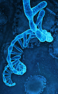 Aufreinigung von mRNA mit den Original-PS-DVB-Säulen und -Puffern für die Entwicklung neuer Impfstoffe