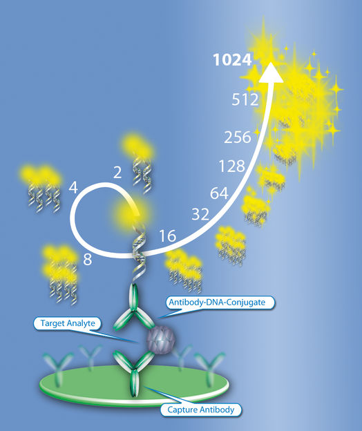 Bioanalytical Support in the Development of Biologics - The Need for Sensitivity combined with broad Assay Range – Case Studies