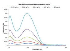 Quantifizierung von DNA über einen großen Konzentrationsbereich