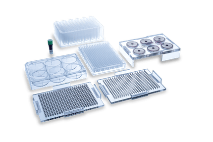 Magnetic 3D Cell Culturing – Simple and Effective Technology with Wide Range of Applications