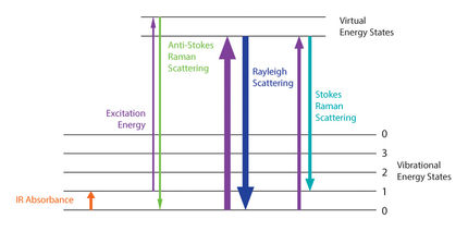 SERS for Label-Free Biosensing