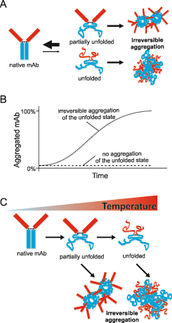 Analysis of Formulation-Dependent Colloidal and Conformational Stability of Monoclonal Antibodies