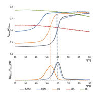 Assess Enzyme Stability without Buffer Limitations