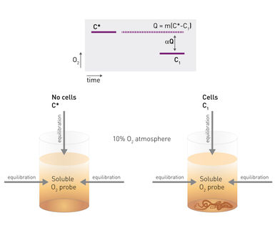 Measuring Changes in Intracellular Metabolism