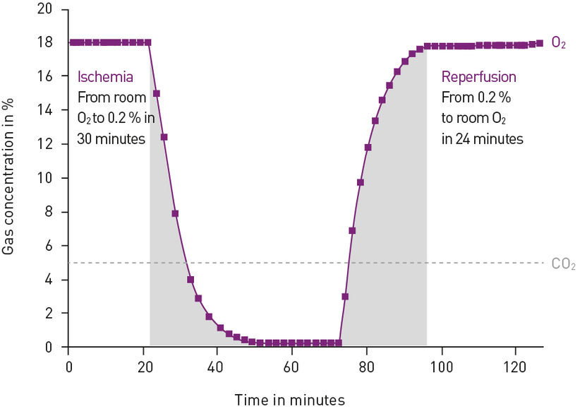 In vitro System Measures Cellular Responses to Oxygen Changes During Ischemia and Reperfusion - Microplate Reader Imitates Oxygen Removal And Recovery Of A Vascular Closure