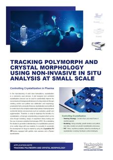 Seguimiento de polimorfos y morfología de cristales usando un análisis in situ no invasivo a pequeña escala