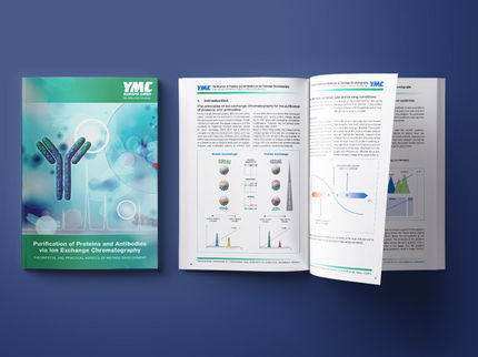 Guide to the Purification of Proteins and Antibodies Using Ion Exchange Chromatography