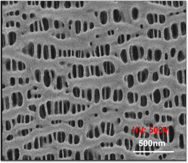 Superior low-KeV imaging and a cryo-FIB milling solution allow characterization of separator