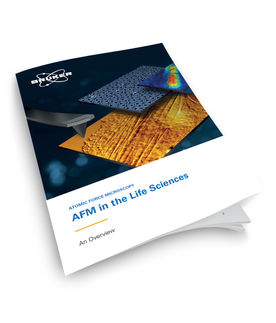 Ein spannendes neues eBook: Rasterkraftmikroskopie (AFM) in den Life Sciences