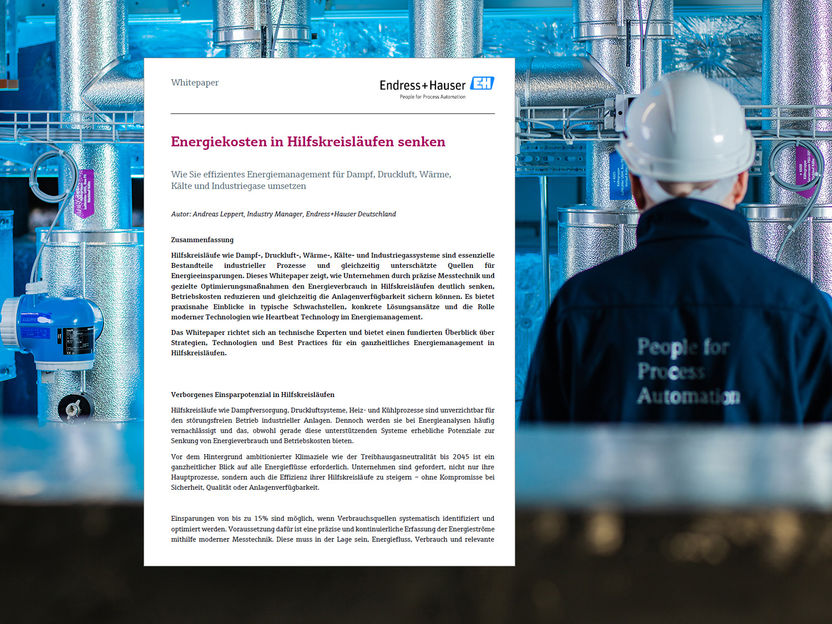 Wie Sie effizientes Energiemanagement für Dampf, Druckluft, Wärme,  Kälte und Industriegase umsetzen