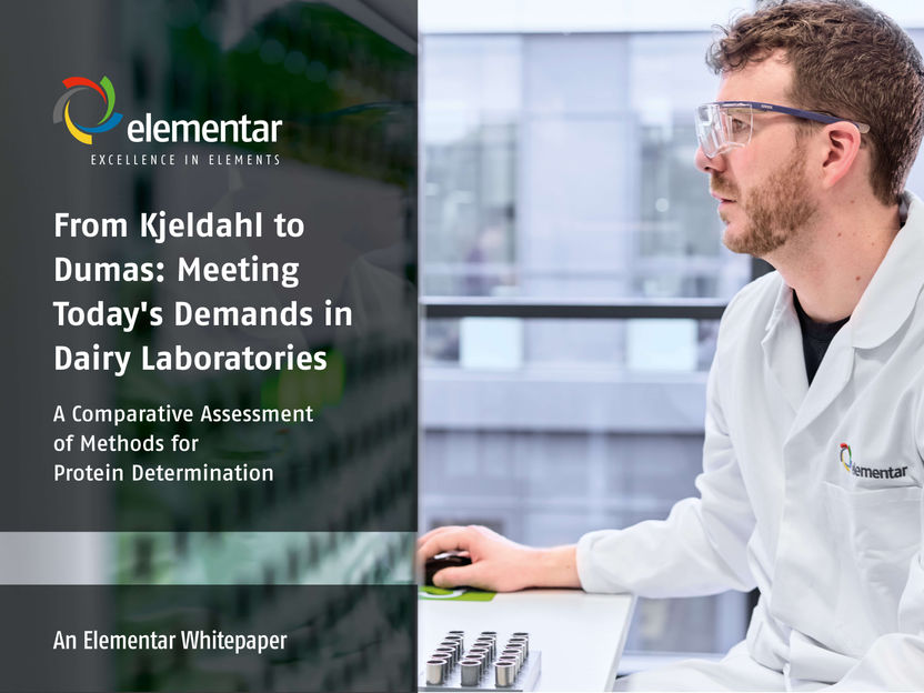 Studie zeigt: Dumas und Kjeldahl liefern vergleichbare Ergebnisse &ndash; mit klaren Vorteilen f&uuml;r Dumas