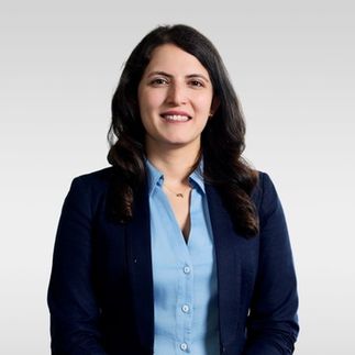 Dr.-Ing. Fuzhan Rahmanian